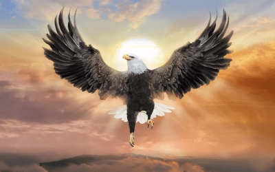 Eagle Courage