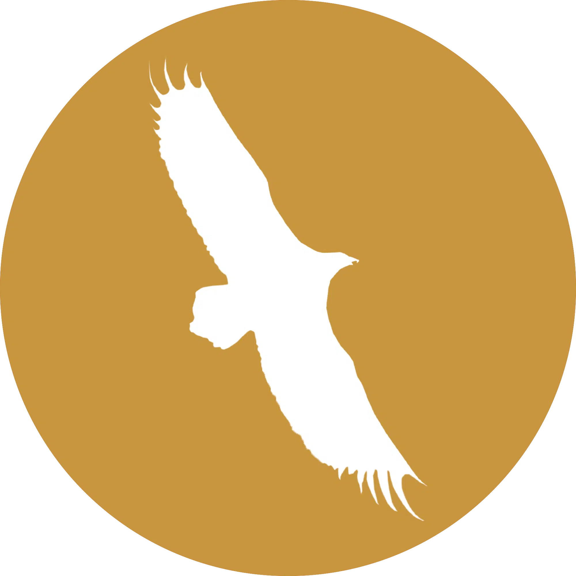 fourwinds-favicon