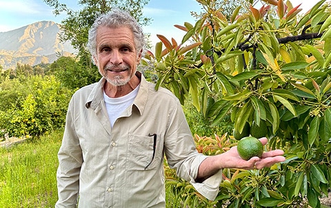 Your God Brain in the Crucible of Collapse