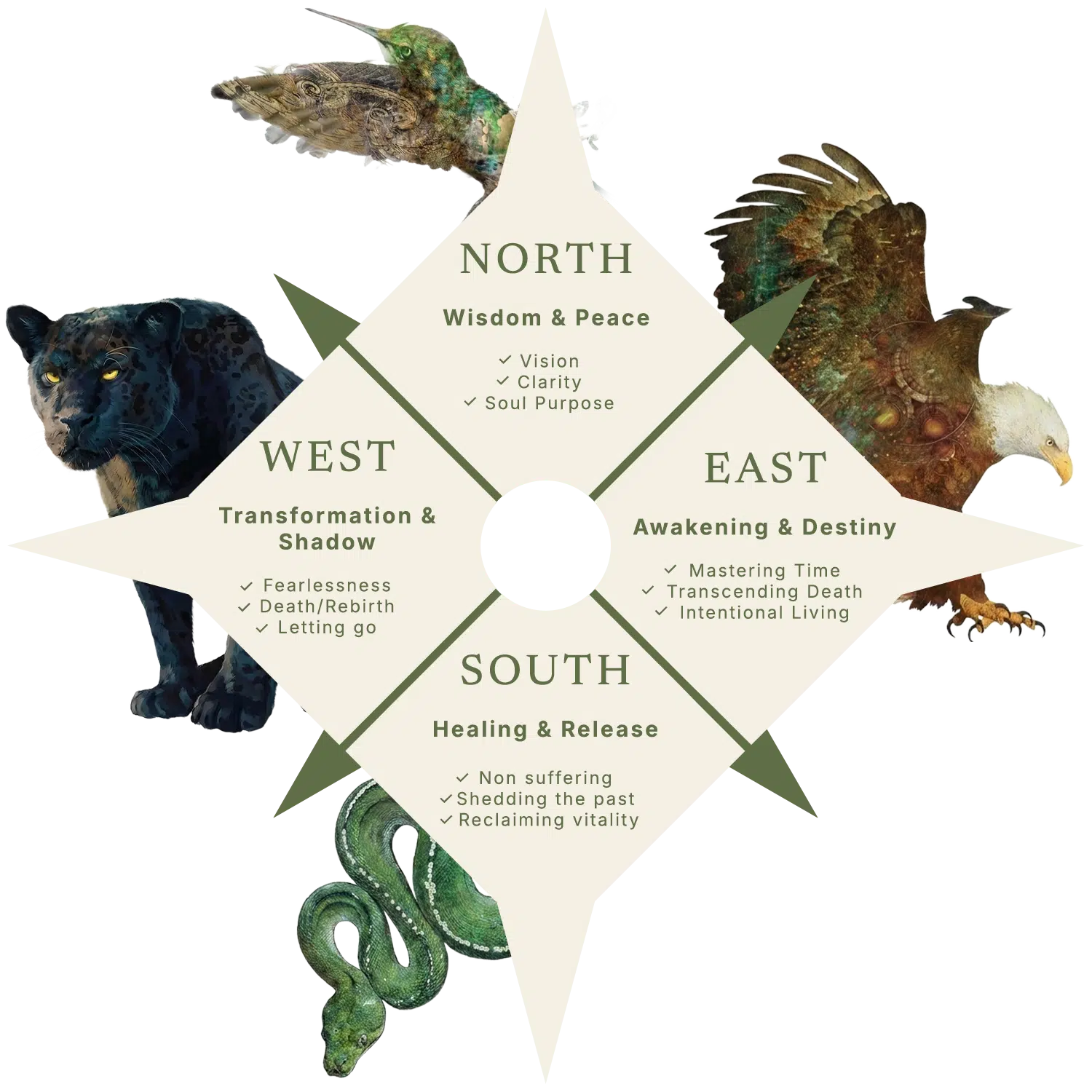 POEM-Medicine-wheel